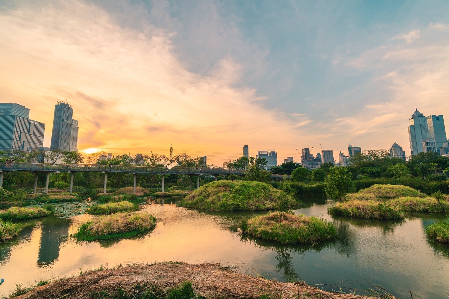 morning view of Benjakiti Forest Park in Bangkok with city skyline in the background