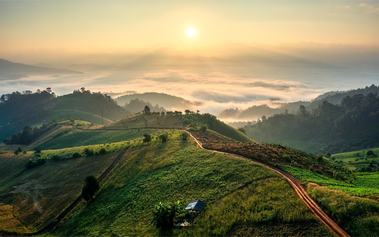 morning sun fills the mountains of Chiang Mai with light
